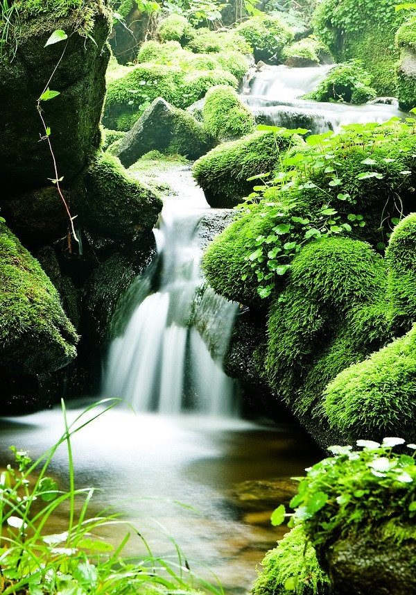 Tao Of Touch