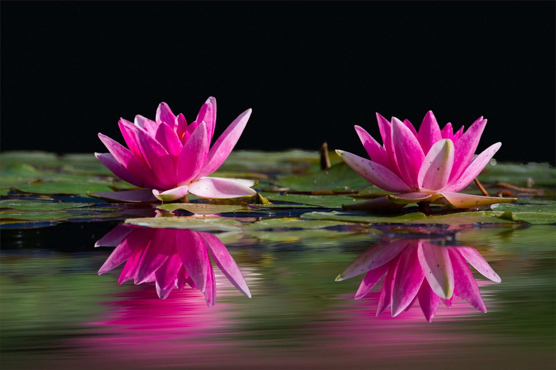 Tao Of Touch