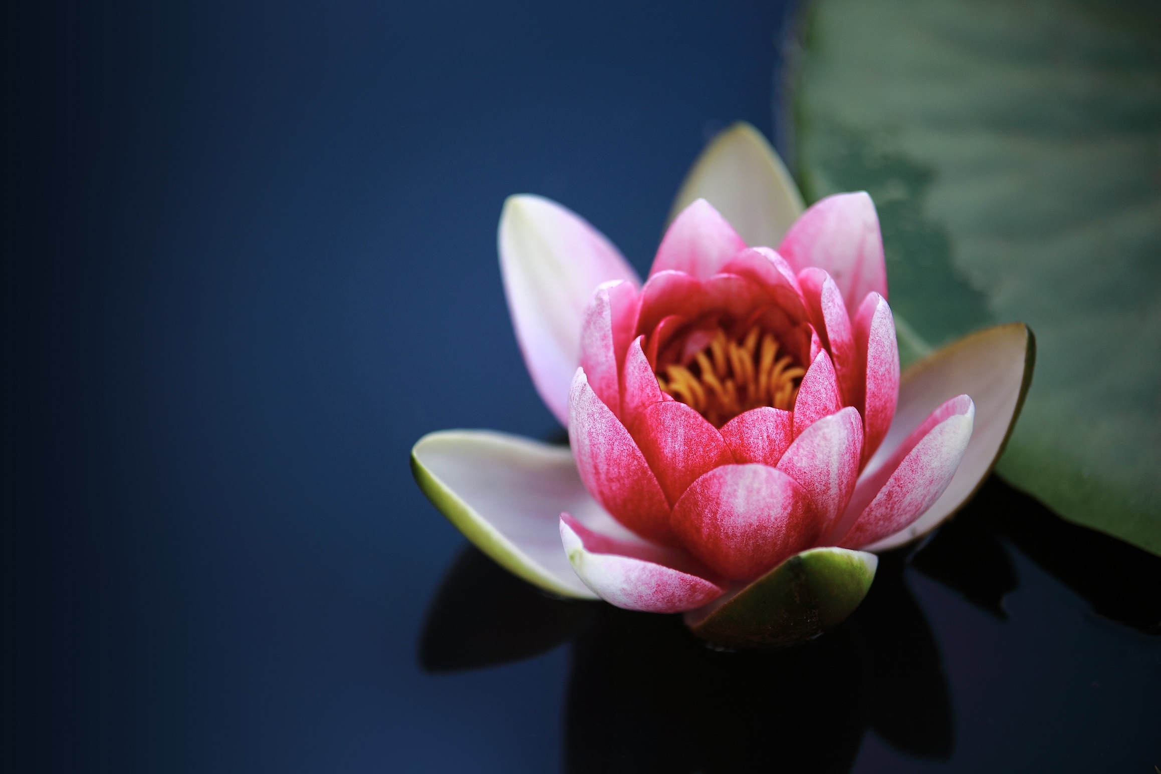 Tao Of Touch