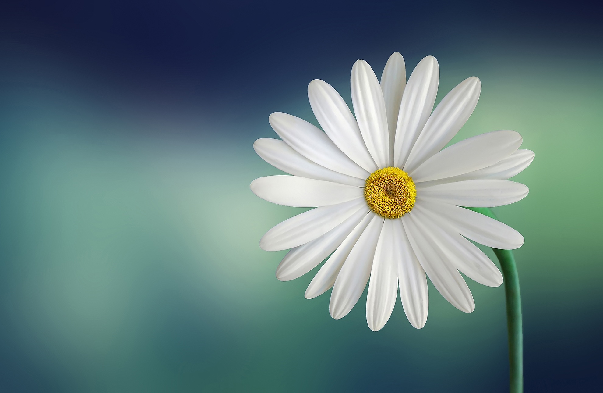 Tao Of Touch