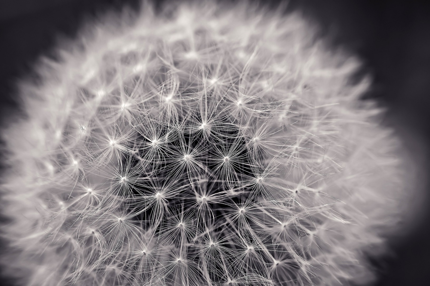 Tao Of Touch