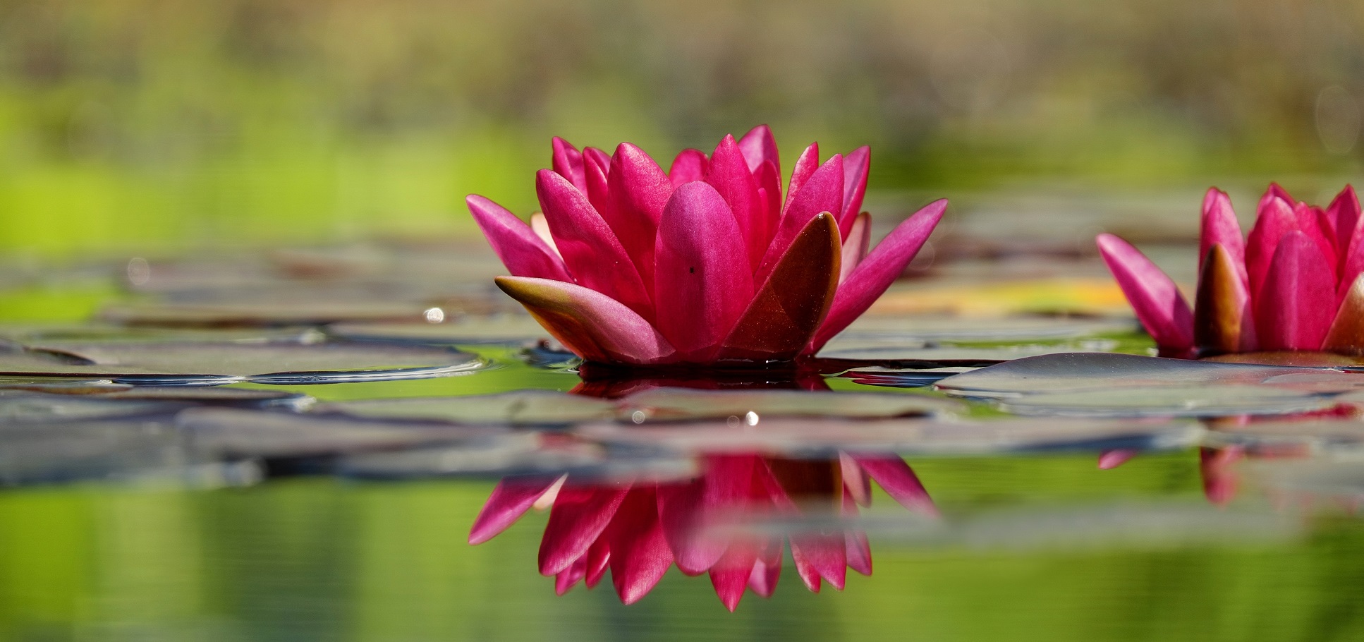 Tao Of Touch