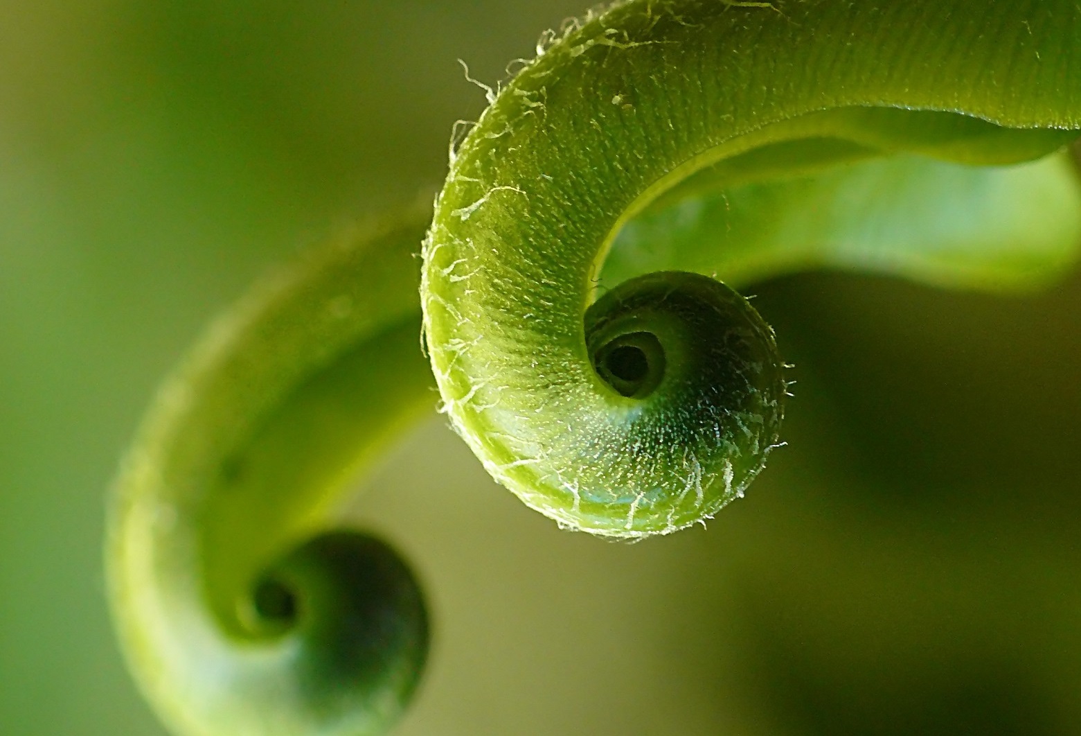 Tao Of Touch