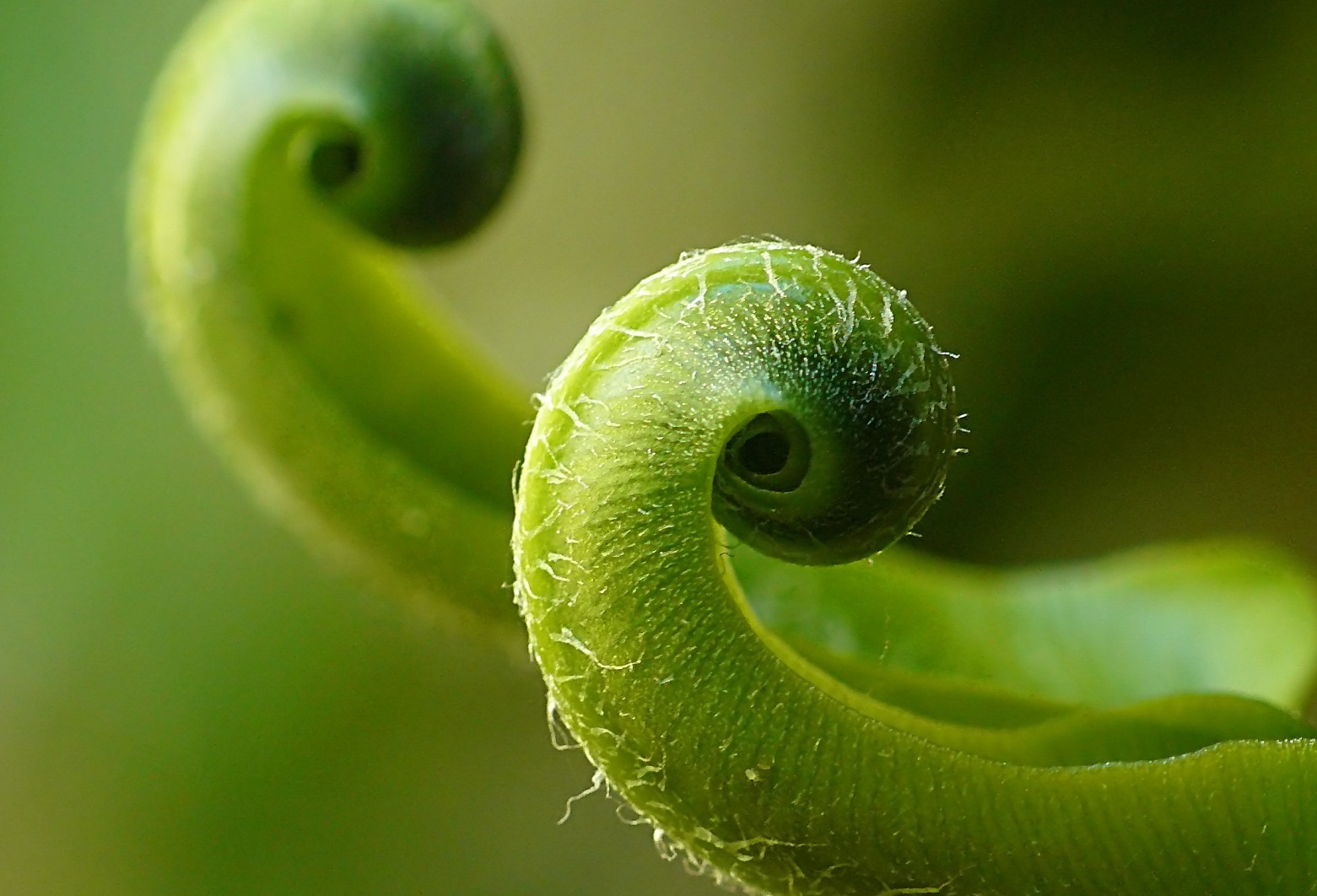 Tao Of Touch