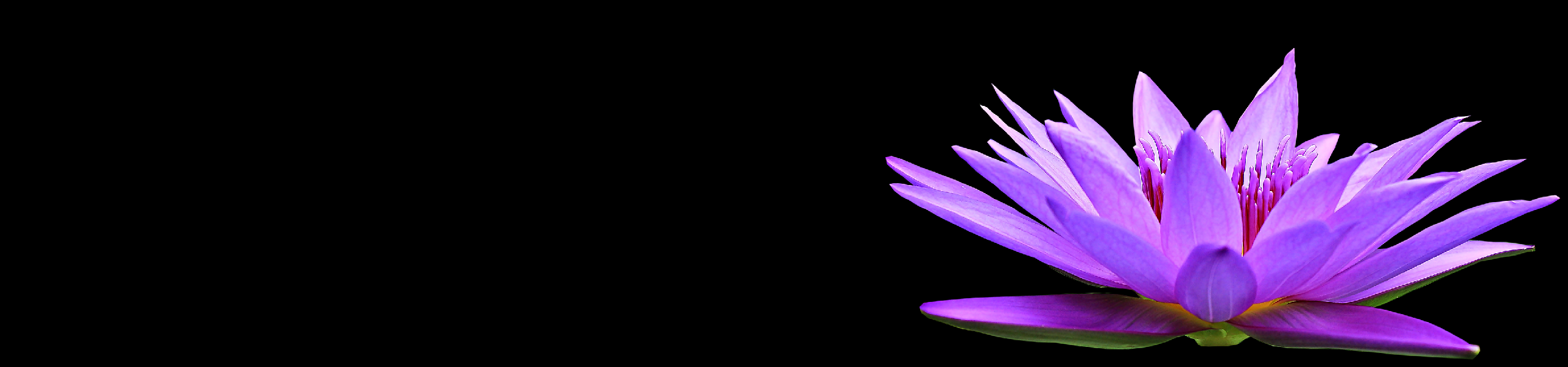Tao Of Touch